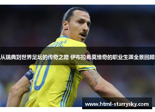 从瑞典到世界足坛的传奇之路 伊布拉希莫维奇的职业生涯全景回顾