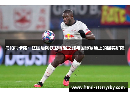 乌帕梅卡诺：法国后防铁卫崛起之路与国际赛场上的坚实屏障