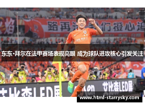 东东·拜尔在法甲赛场表现亮眼 成为球队进攻核心引发关注