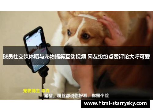 球员社交媒体晒与宠物搞笑互动视频 网友纷纷点赞评论大呼可爱
