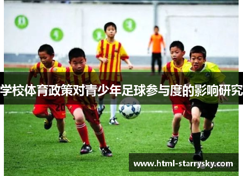 学校体育政策对青少年足球参与度的影响研究