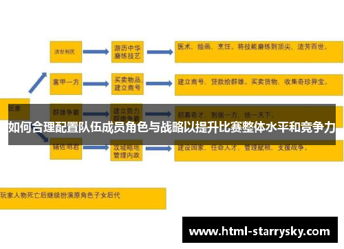如何合理配置队伍成员角色与战略以提升比赛整体水平和竞争力