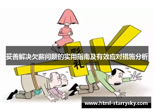 妥善解决欠薪问题的实用指南及有效应对措施分析